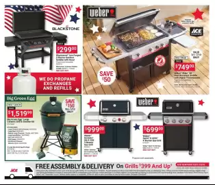 Ace Hardware flyer Page 3