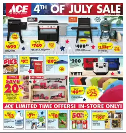 Ace Hardware flyer Page 1
