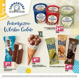 Stokrotka Market gazetka Strona 12