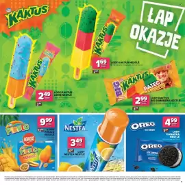 Stokrotka Market gazetka Strona 13