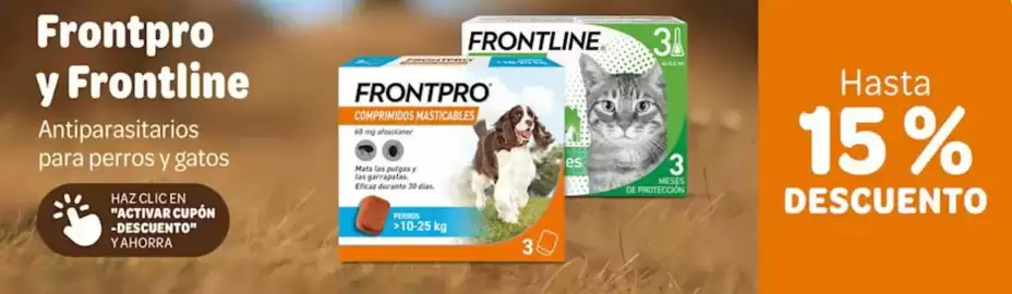 Folleto Zooplus Página 4