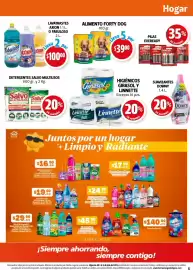 Folleto Farmacias Guadalajara Página 5