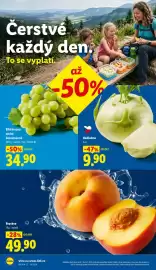 Lidl leták Strana 10