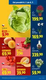 Lidl leták Strana 11