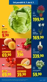 Lidl leták Strana 11