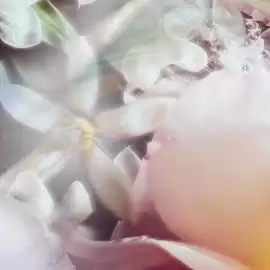 Folleto Chanel Página 5