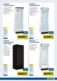 Catalog Metro Pagină 17