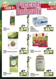 Volantino Zoomiguana Pagina 8