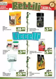 Volantino Zoomiguana Pagina 9