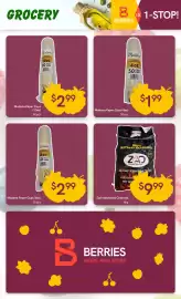 Berries Market flyer week 27 Page 17