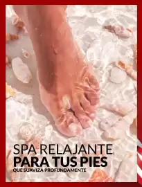 Catálogo Avon Página 140