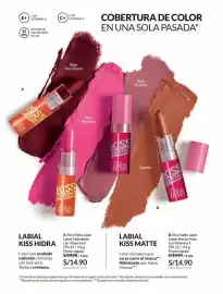 Catálogo Avon Página 42
