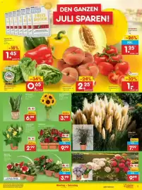 Netto Marken-Discount DE folder week 28 Pagina 7