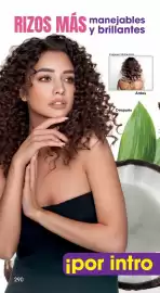 Catálogo Arabela Página 272