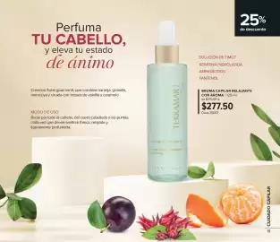 Catálogo Terramar Brands Página 19