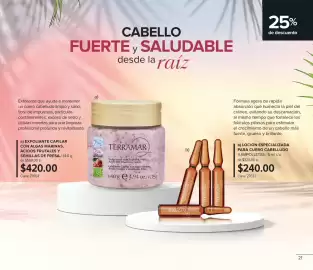 Catálogo Terramar Brands Página 21