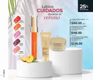 Catálogo Terramar Brands Página 28