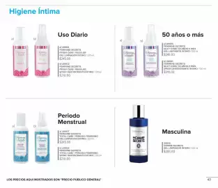 Catálogo Terramar Brands Página 43