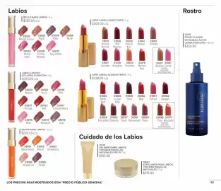Catálogo Terramar Brands Página 49