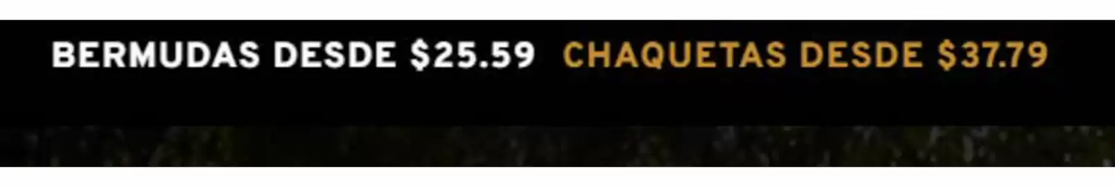Catálogo Lee Página 2