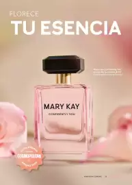 Catálogo Mary Kay Página 11