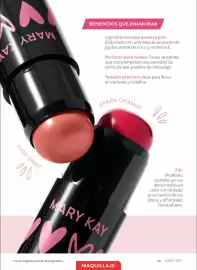 Catálogo Mary Kay Página 33