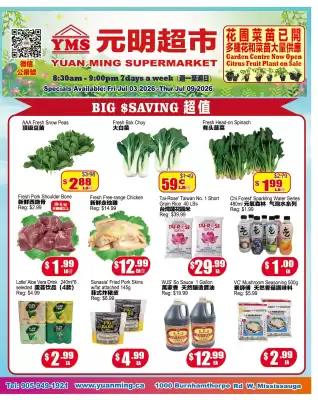 Yuan Ming (valid until 9-07)