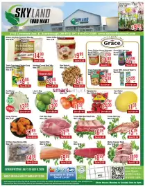 Skyland Foodmart flyer week 27 Page 1
