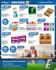 Catálogo Supermercados Damesco semana 27 Página 10