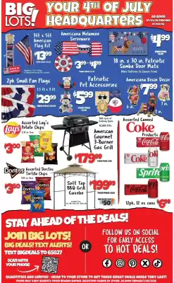 Big Lots (valid until 8-07)