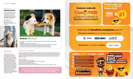 Catálogo Tia Página 4