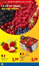 Lidl folder week 28 Pagina 2