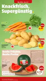 PENNY Prospekt woche 28 Seite 4