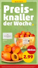 PENNY Prospekt woche 28 Seite 40