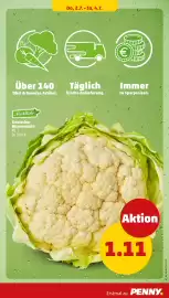 PENNY Prospekt woche 28 Seite 41