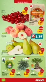 PENNY Prospekt woche 28 Seite 5