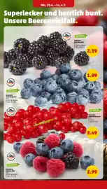 PENNY Prospekt woche 28 Seite 8
