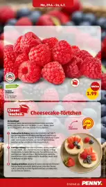 PENNY Prospekt woche 28 Seite 9