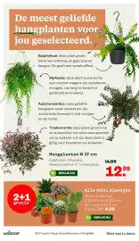 Welkoop folder Pagina 15