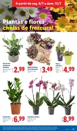 Folheto Lidl semana 28 Página 35