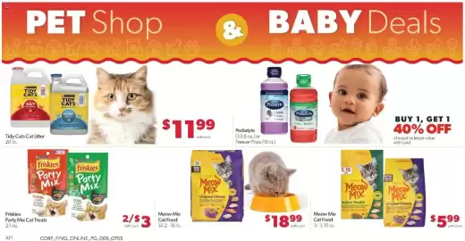 Family Fare weekly ad week 28 Page 13
