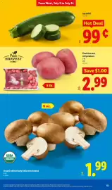 Lidl weekly ad week 28 Page 13
