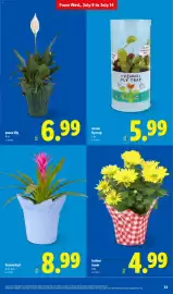 Lidl weekly ad week 28 Page 33