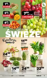 Netto gazetka tydzień 28 Strona 7