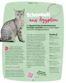 Fressnapf Flugblatt Seite 34