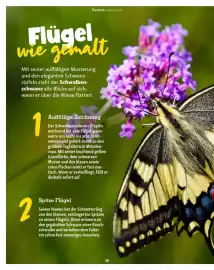 Fressnapf Flugblatt Seite 36