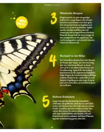 Fressnapf Flugblatt Seite 37
