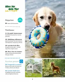 Fressnapf Flugblatt Seite 4