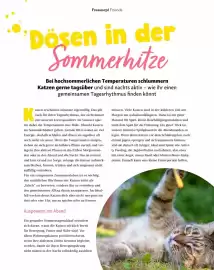 Fressnapf Flugblatt Seite 46