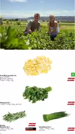 Transgourmet Flugblatt Seite 12